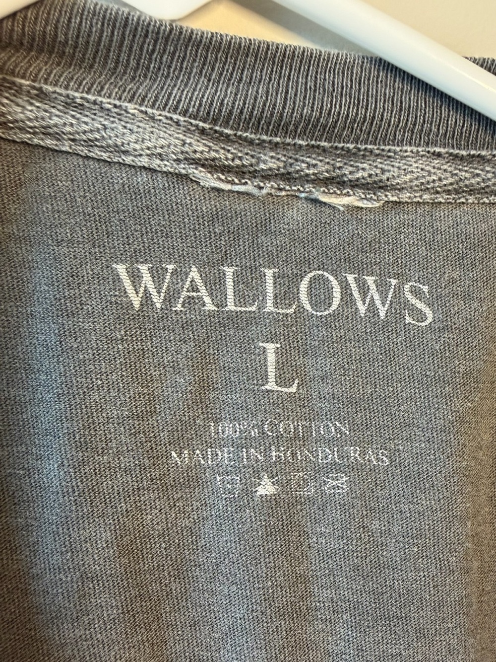 Wallows Graphic Band Tee - Picture 2 of 3